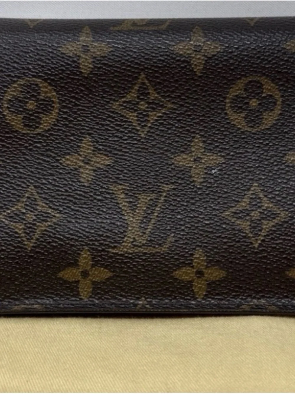 Louis Vuitton Monogram Canvas Zip Wristlet in Brown